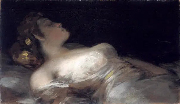 Il sogno - Francisco de Goya