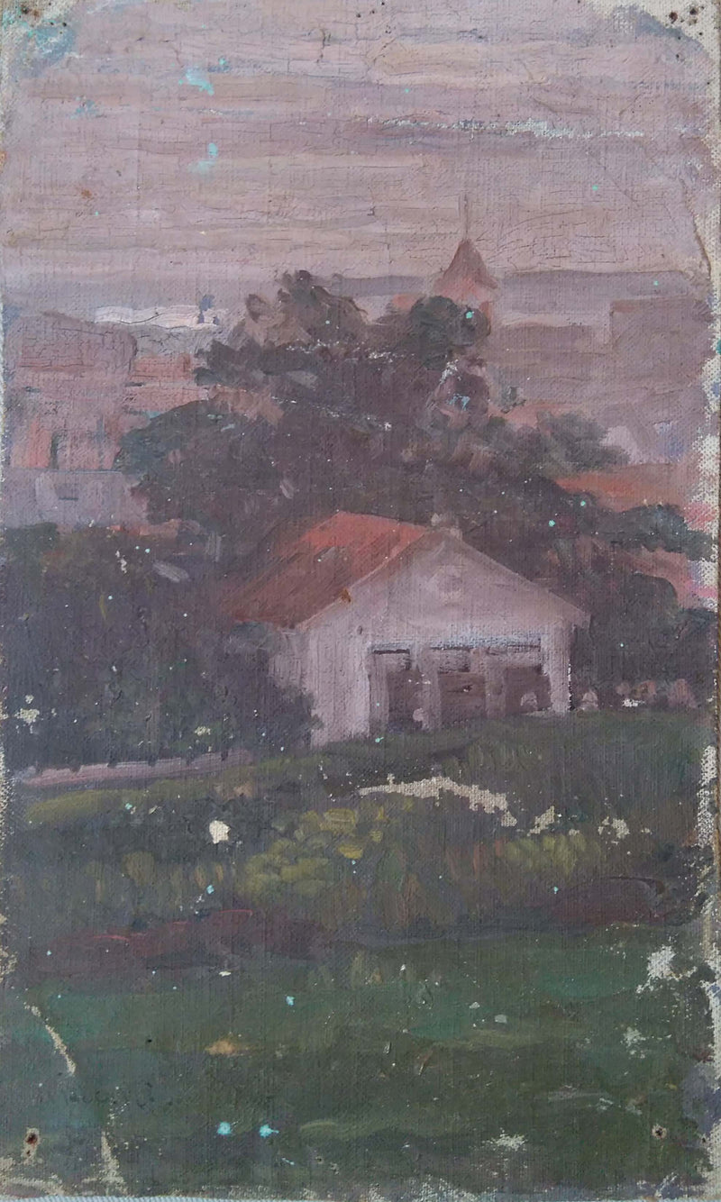 Architettura del paesaggio in casa - Eliseu Visconti