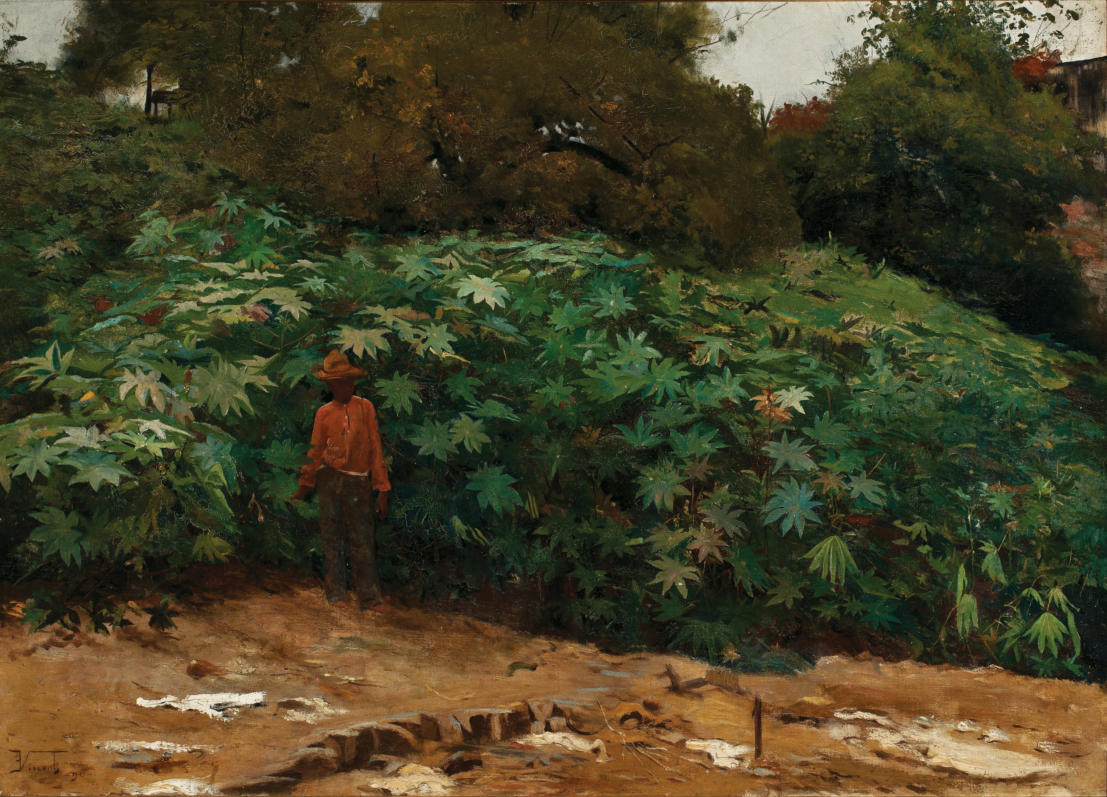 Mamoneiras - Morro de São Bento - Eliseu Visconti