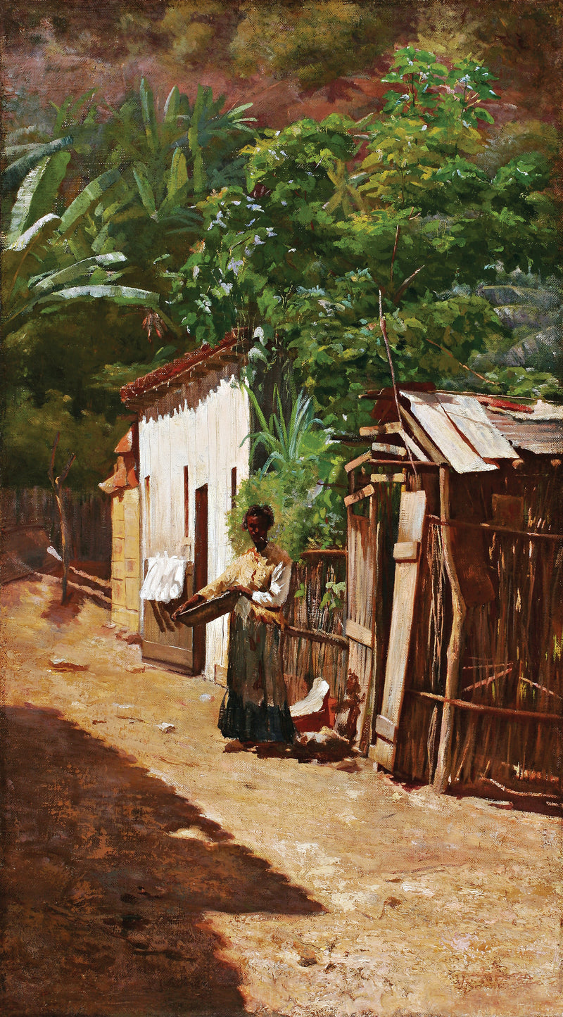 Uma via della favela - Eliseu Visconti