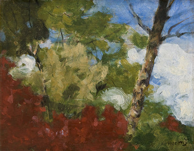 Arbusti nel mio giardino - Eliseu Visconti