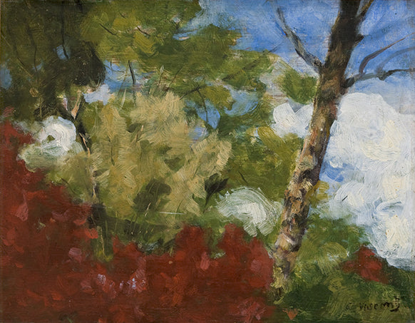 Arbusti nel mio giardino - Eliseu Visconti