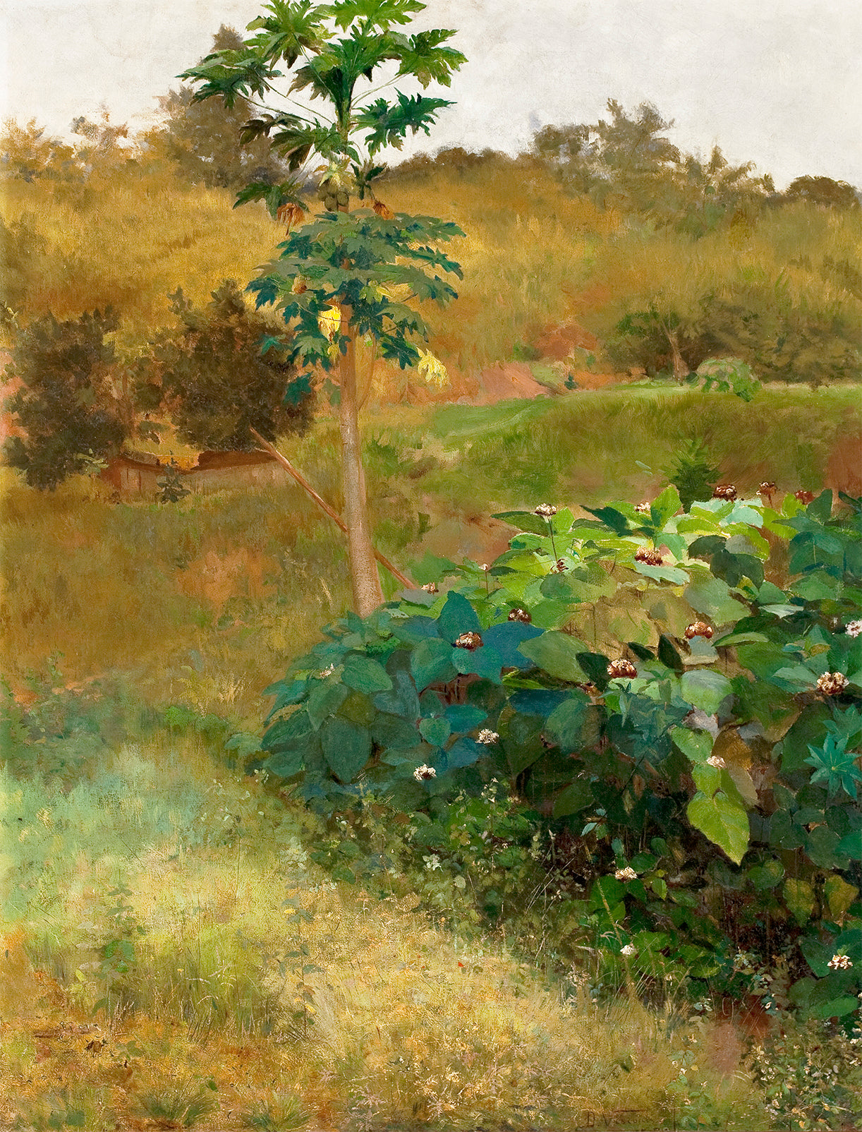 Mamoeiro - Eliseu Visconti