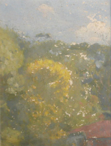 Fiori dal mio giardino - Eliseu Visconti