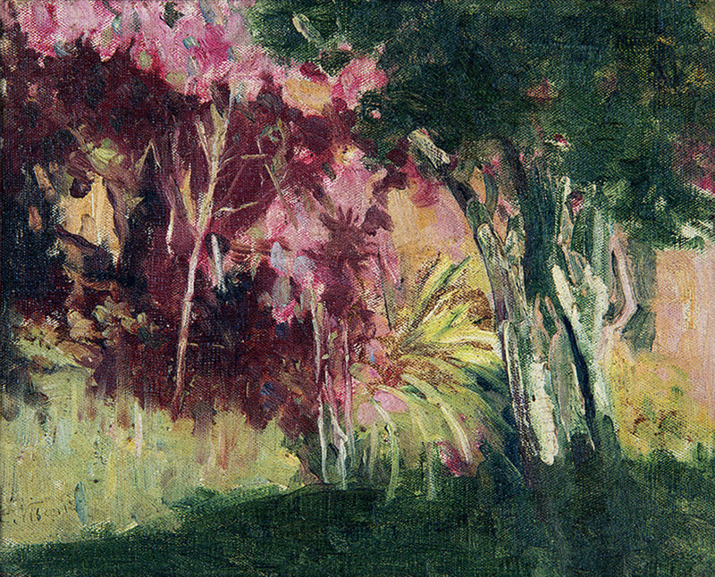 Giardino tropicale – Eliseu Visconti