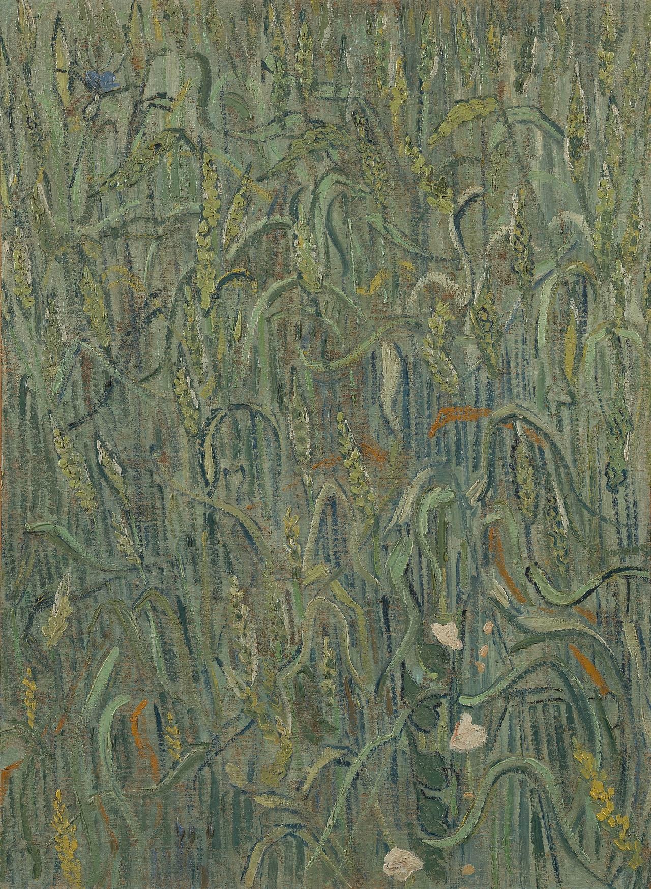 Spighe di grano - Vincent van Gogh