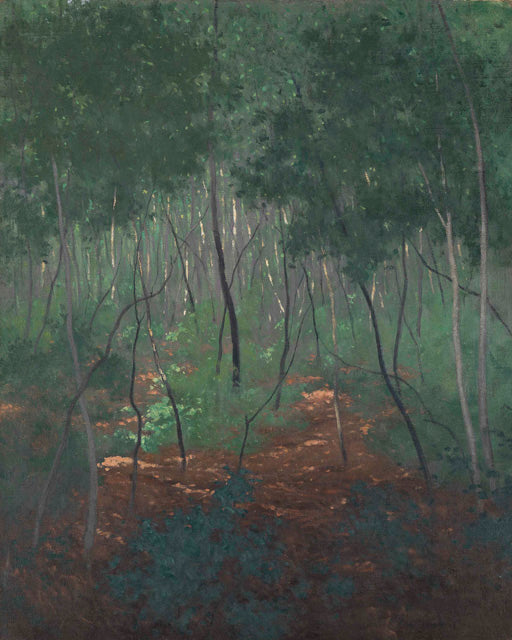 Sous-bois, arbres légers - Félix Vallotton