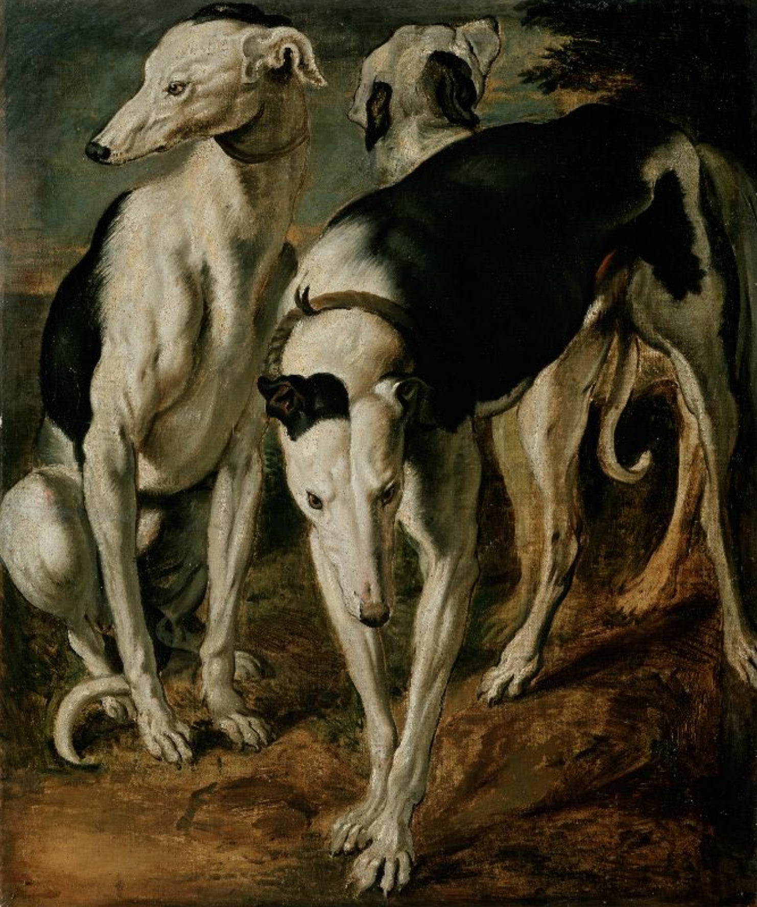 Trois lévriers - Frans Snyders