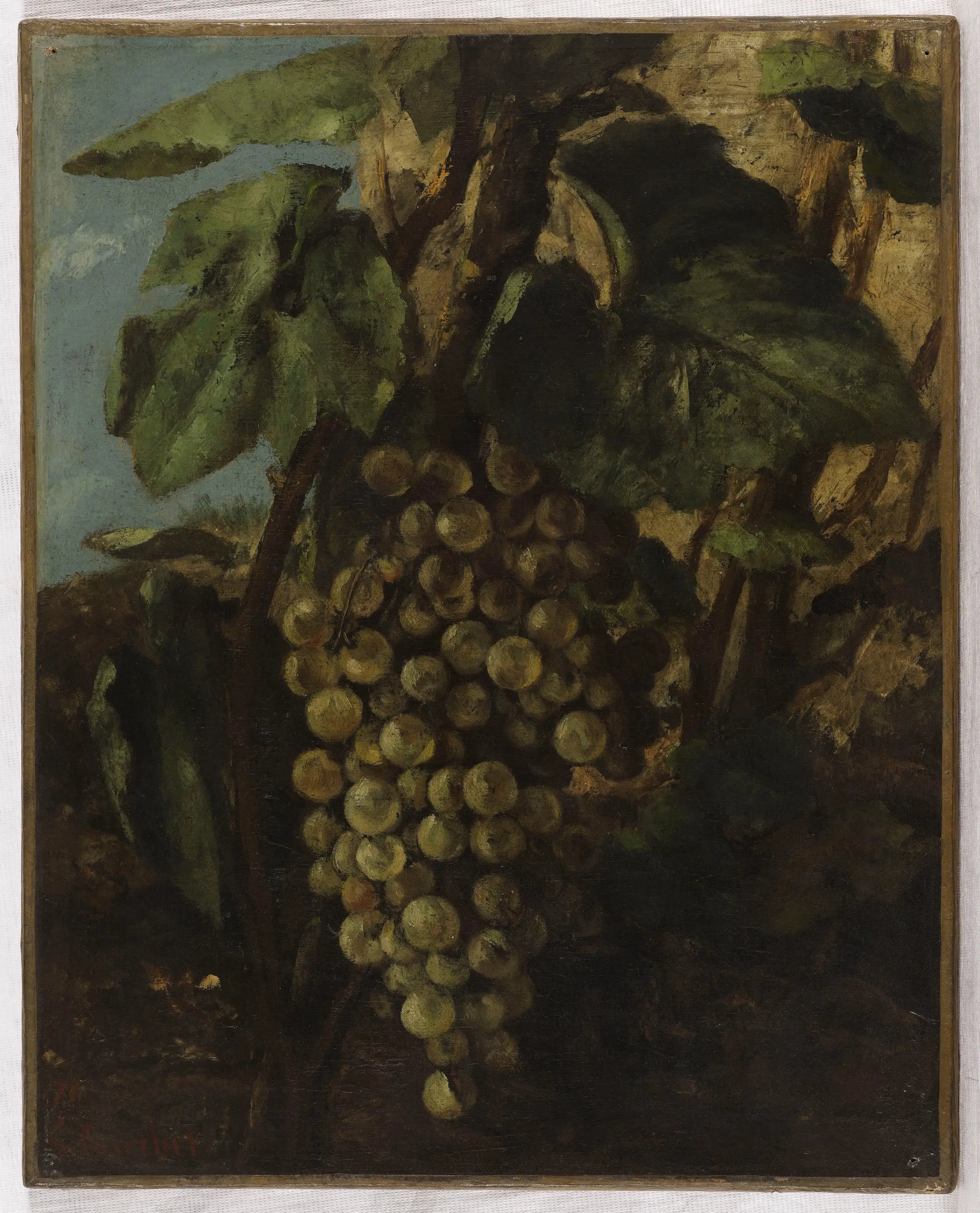 Grappe de raisins - Gustave Courbet - Alpha Reproduction