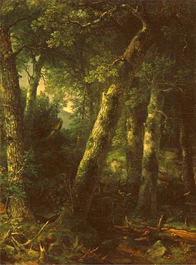 Forêt dans la lumière du matin - Asher Brown Durand - Alpha Reproduction
