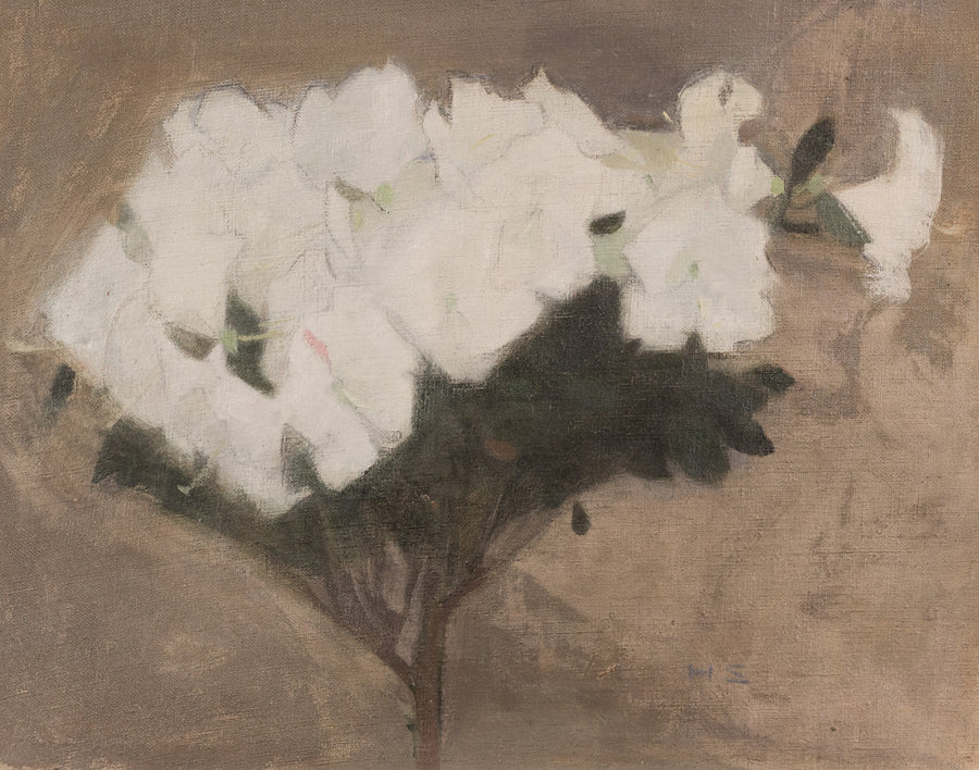 Atsalea (1904) - Helene Schjerfbeck