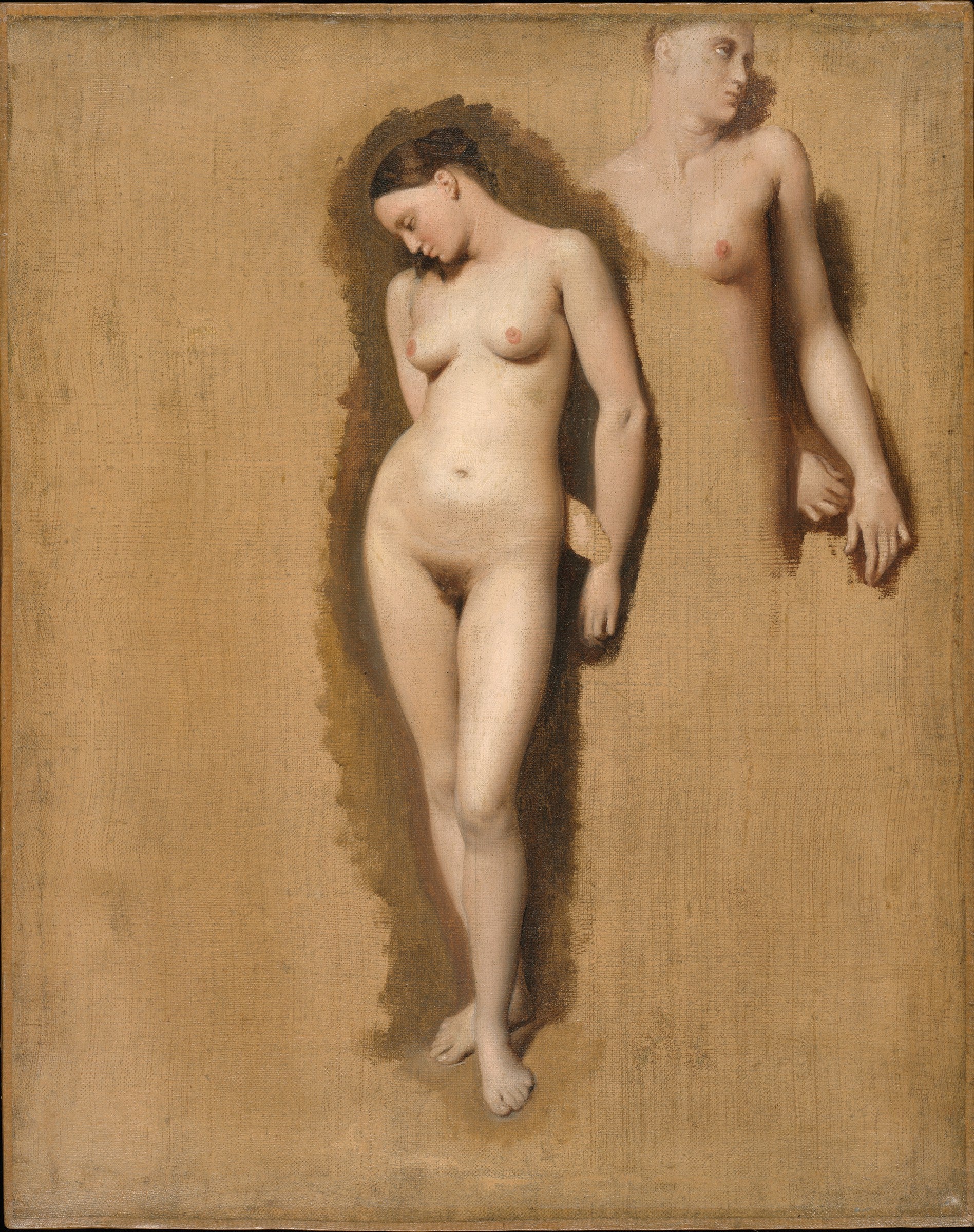 Studio per Roger che libera Angelica - Jean-Auguste-Dominique Ingres
