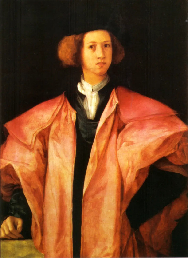 Ritratto di un giovane uomo - Pontormo