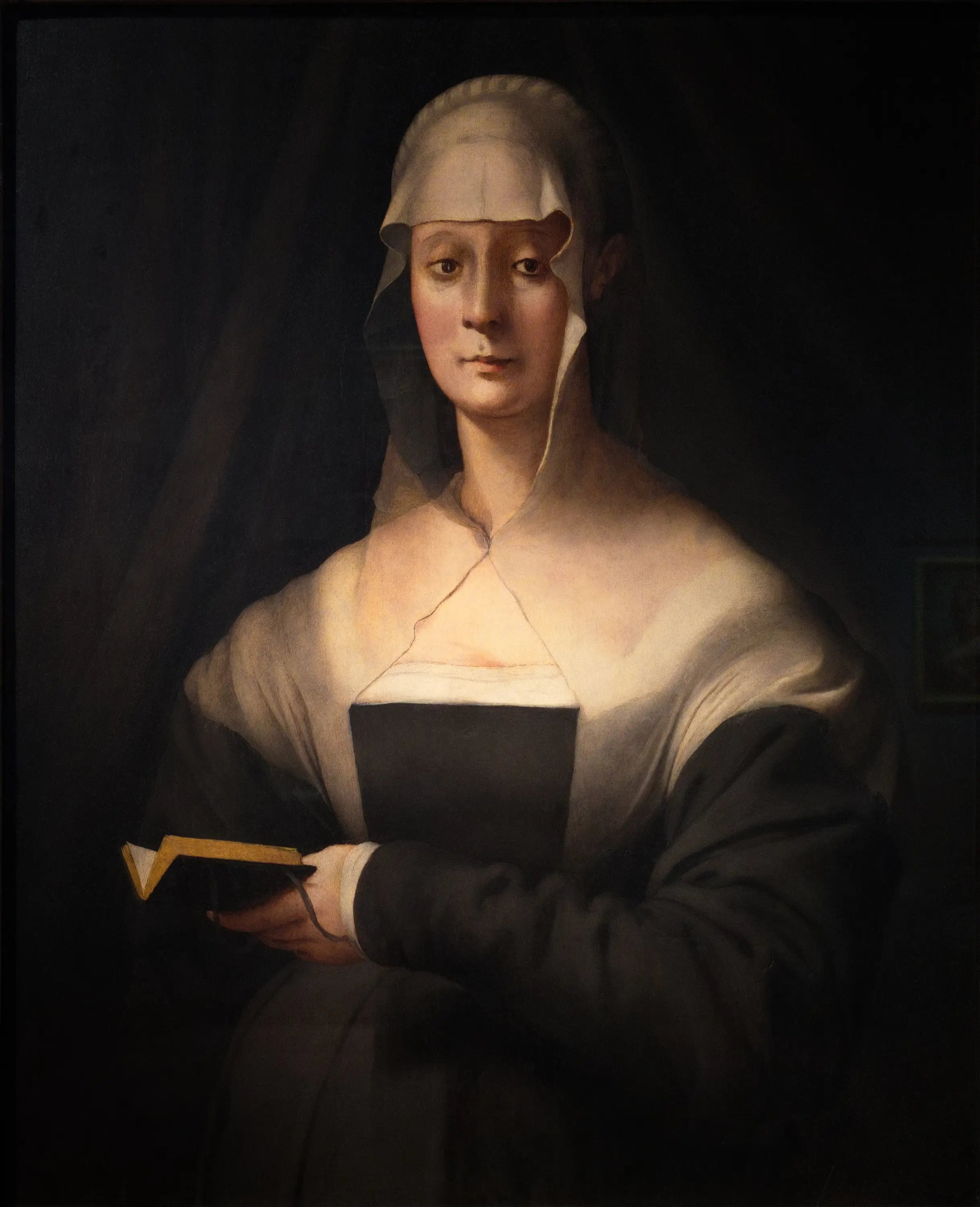 Portrait de Maria Salviati - Pontormo - Alpha Reproduction