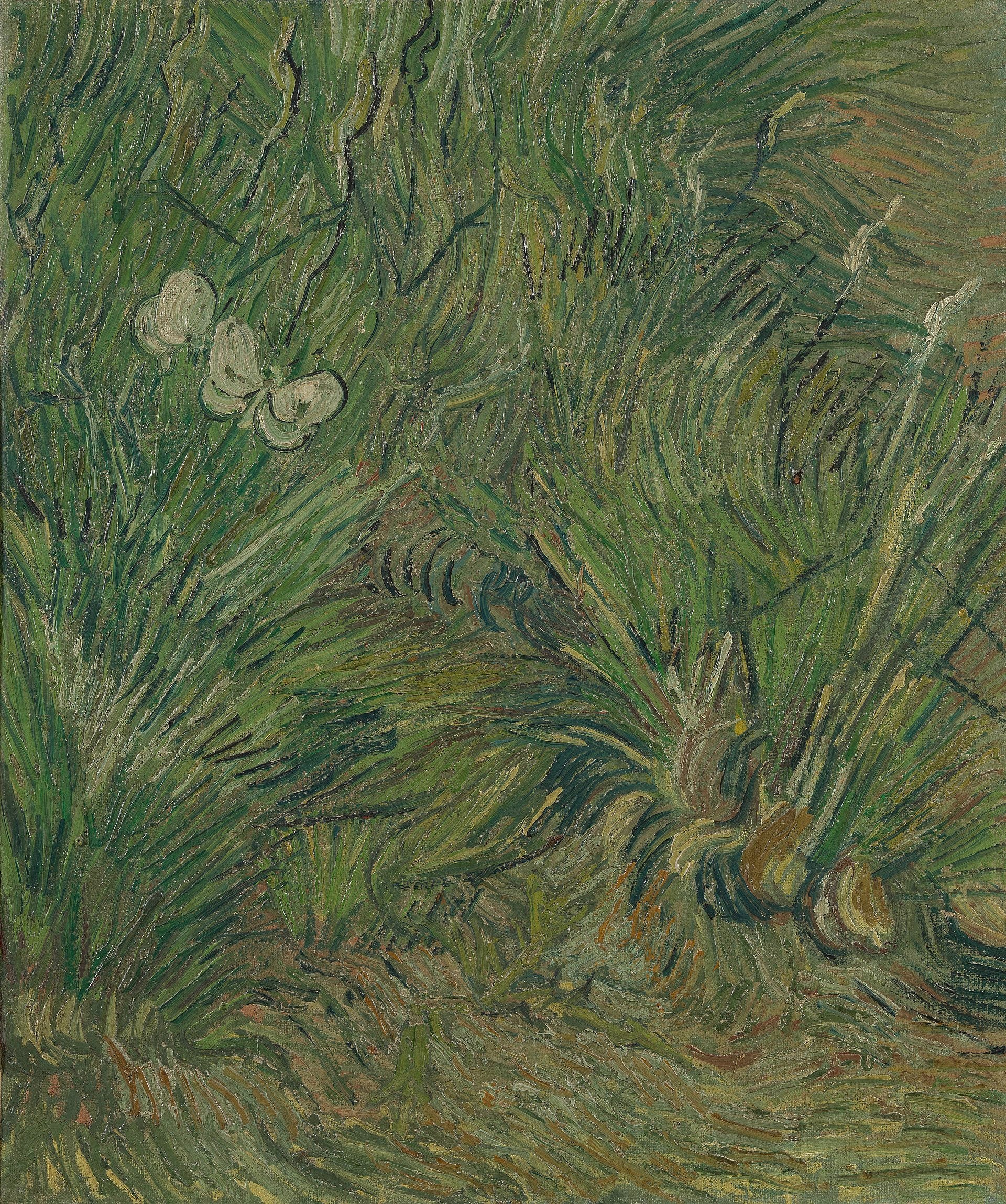 Giardino delle farfalle - Vincent van Gogh