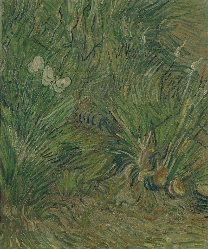 Giardino delle farfalle - Vincent van Gogh
