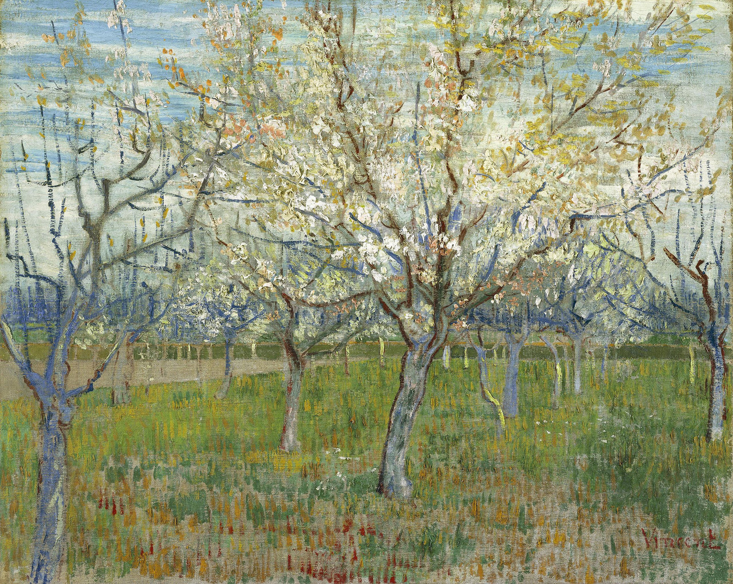 🌸 Giardino di frutteto fiorito – Vincent van Gogh (1888)