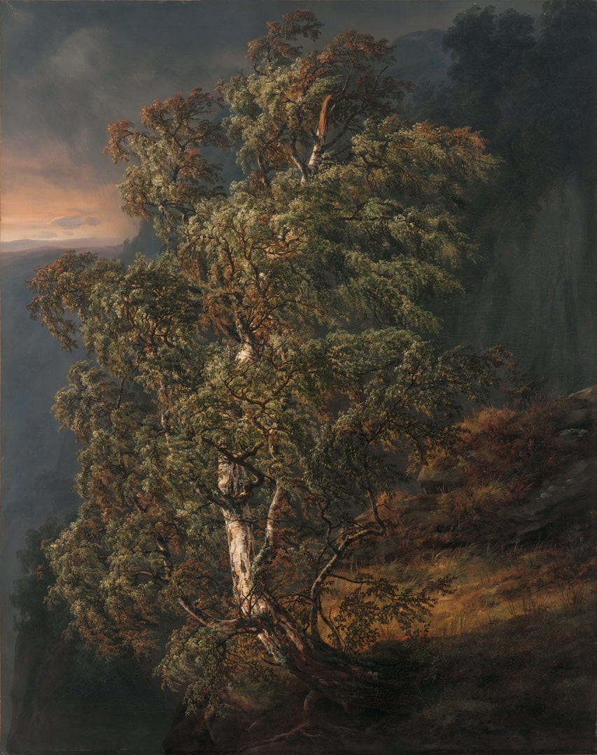 Bouleau dans la tempête, Johan Christian Dahl, 1849, peinture à l’huile