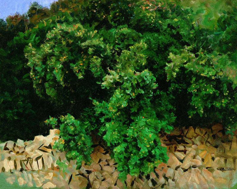 Legno di Ilex. Maiorca - John Singer Sargent