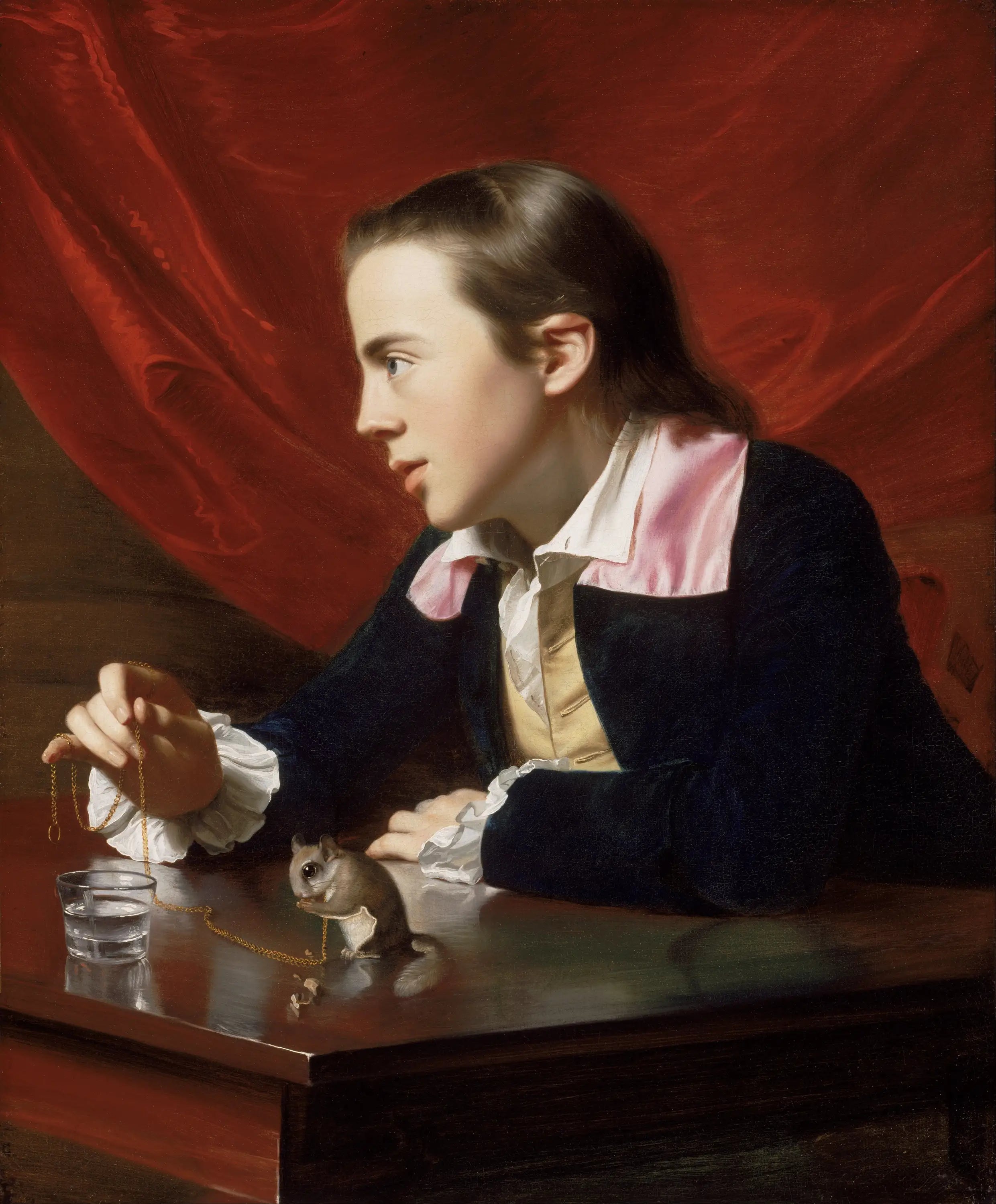Le Garçon à l’écureuil - John Singleton Copley - Alpha Reproduction