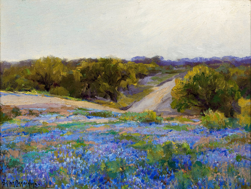 Lupini blu nel tardo pomeriggio - Julian Onderdonk