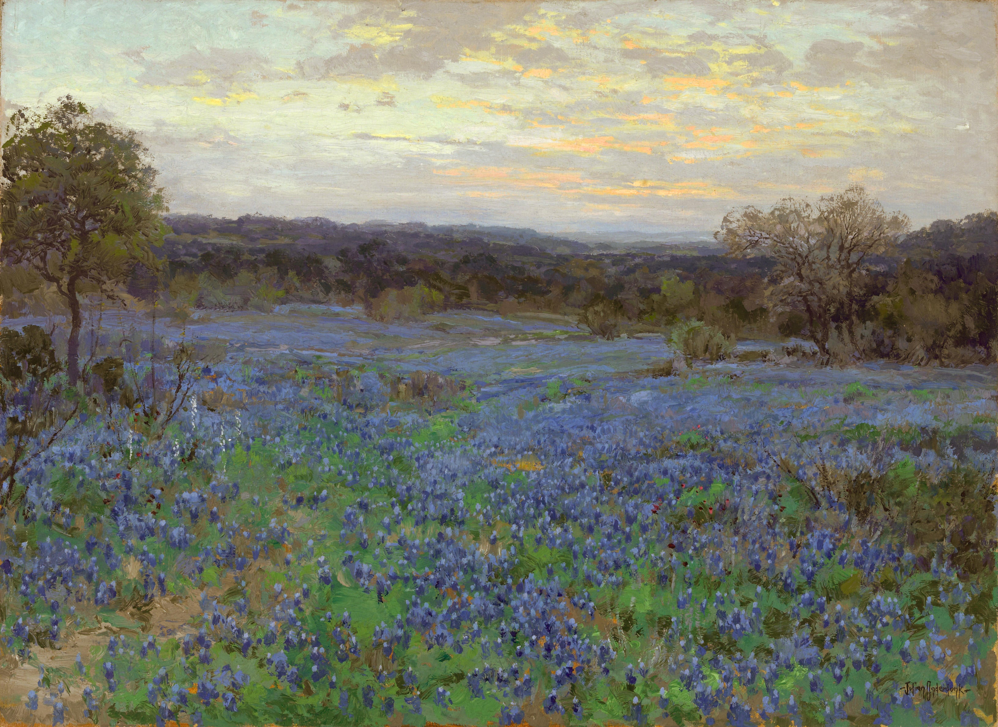Champ de lupins bleus au coucher du soleil - Julian Onderdonk - Alpha Reproduction