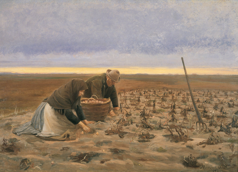 Raccolta delle patate - Michael Peter Ancher