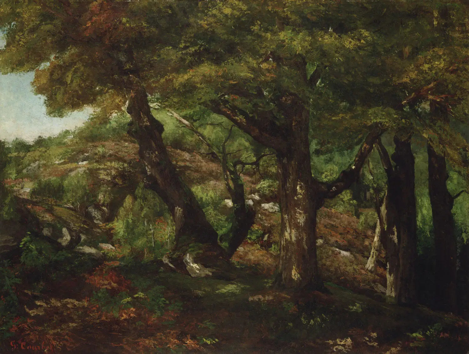 L’Orée de la forêt - Gustave Courbet - Alpha Reproduction