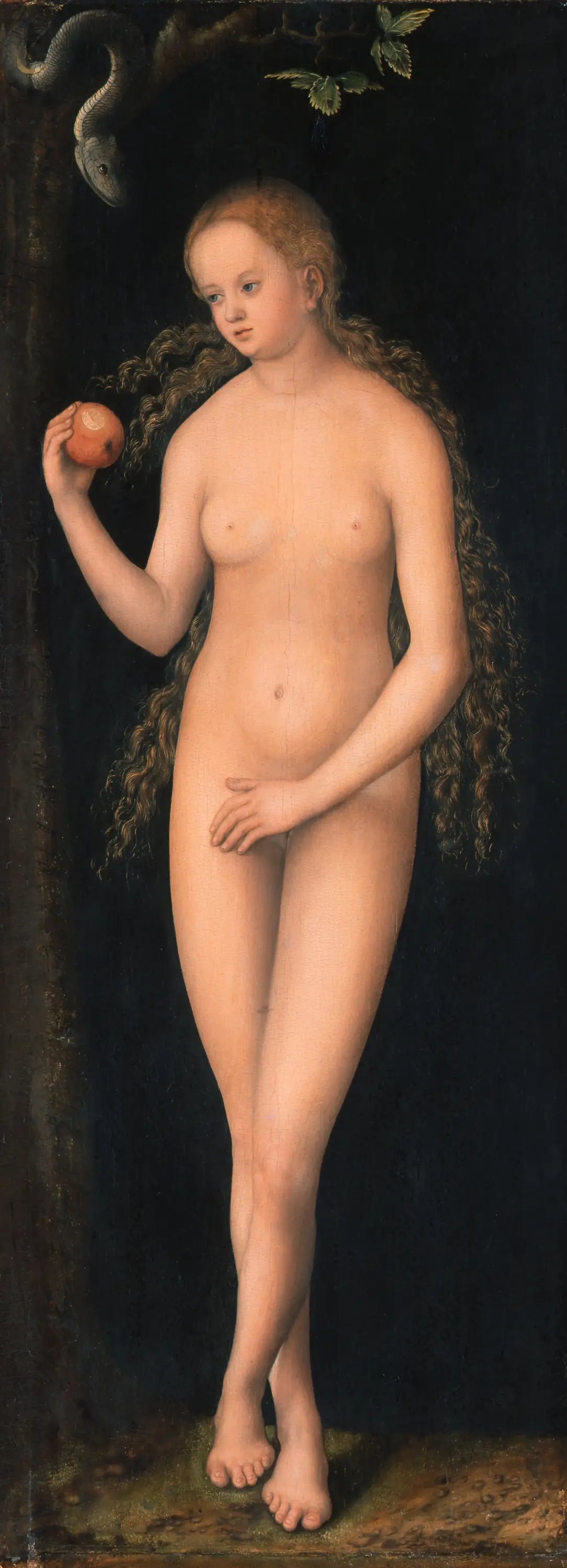 Veille - Lucas Cranach the Elder - Alpha Reproduction