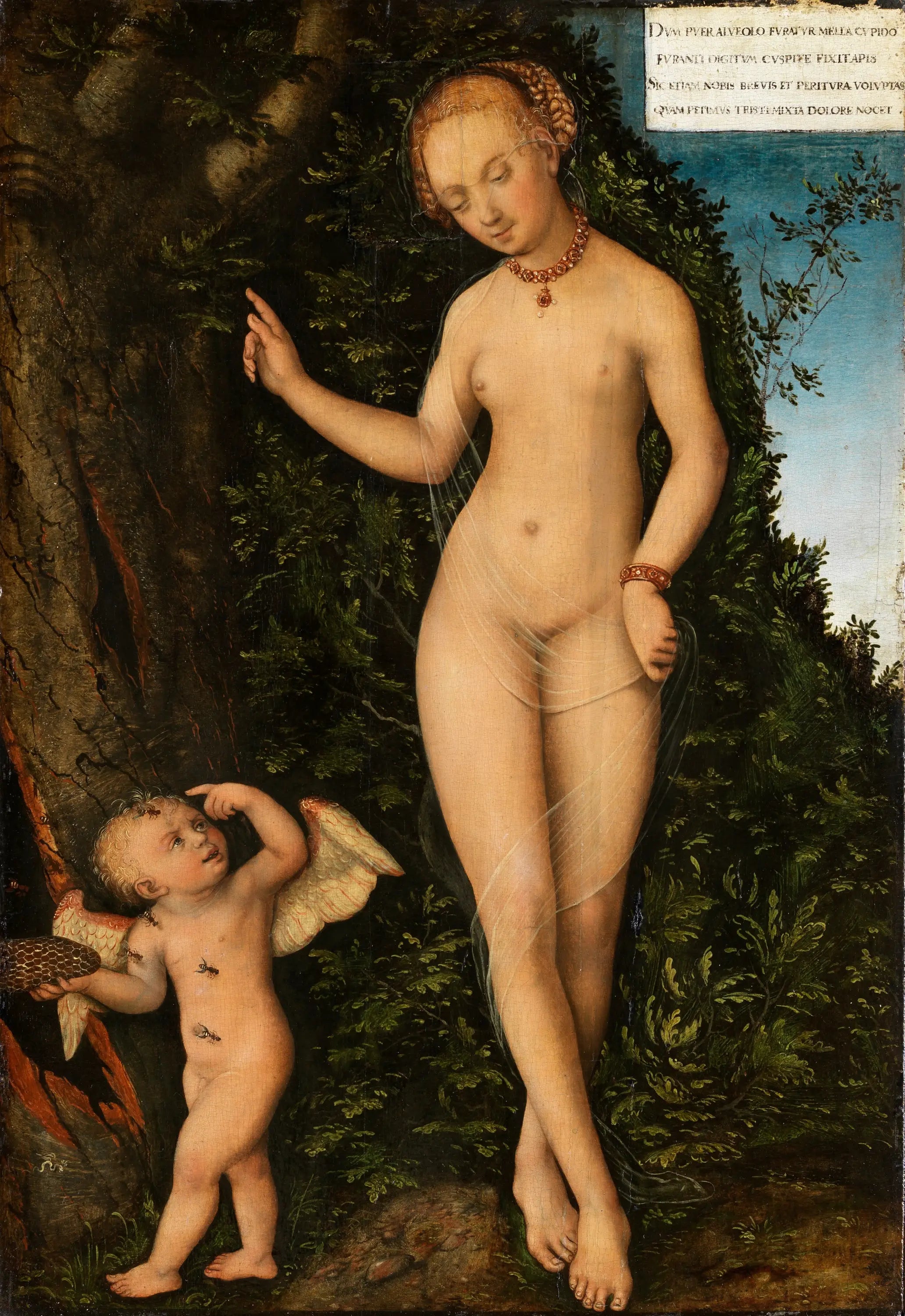 Vénus avec Cupidon le voleur de miel - Lucas Cranach the Elder - Alpha Reproduction