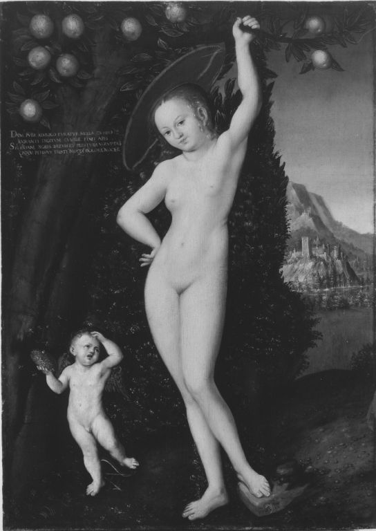 Vénus avec Cupidon le voleur de miel - Lucas Cranach the Elder - Alpha Reproduction