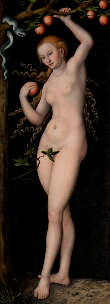 Veille - Lucas Cranach il Vecchio