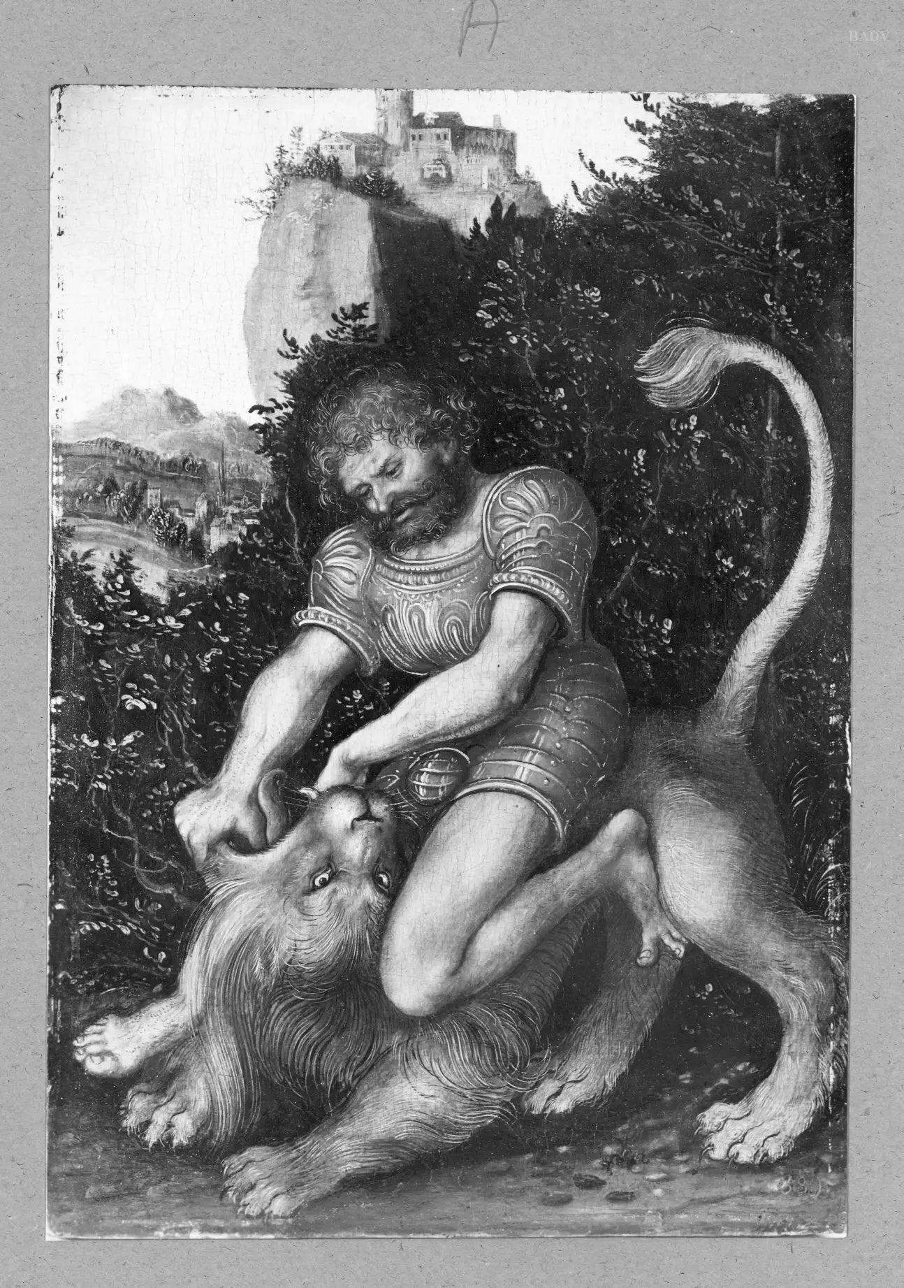 Samson terrassant le lion - Lucas Cranach the Elder - Alpha Reproduction