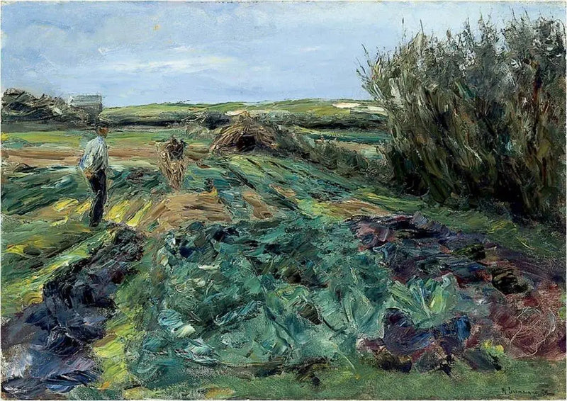 Il campo di cavoli (campo di cavoli a Noordwijk) - Max Liebermann