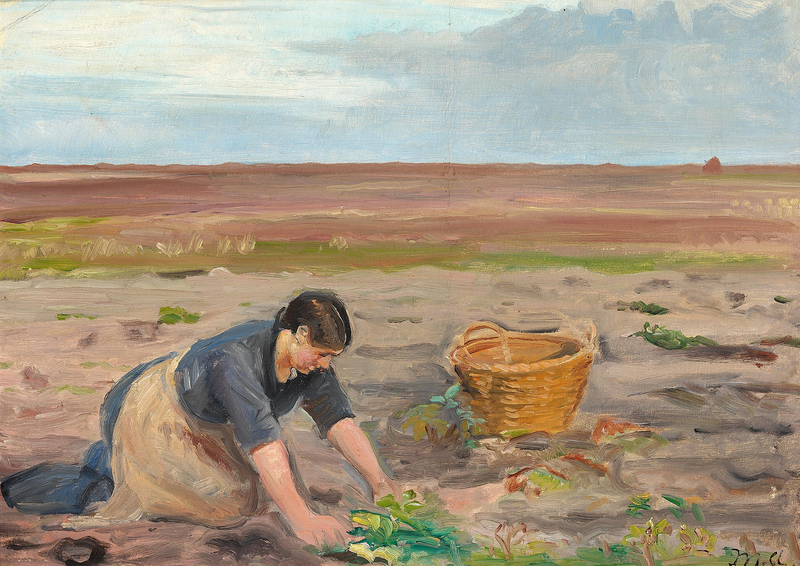 Lavorare nei campi. - Michael Peter Ancher