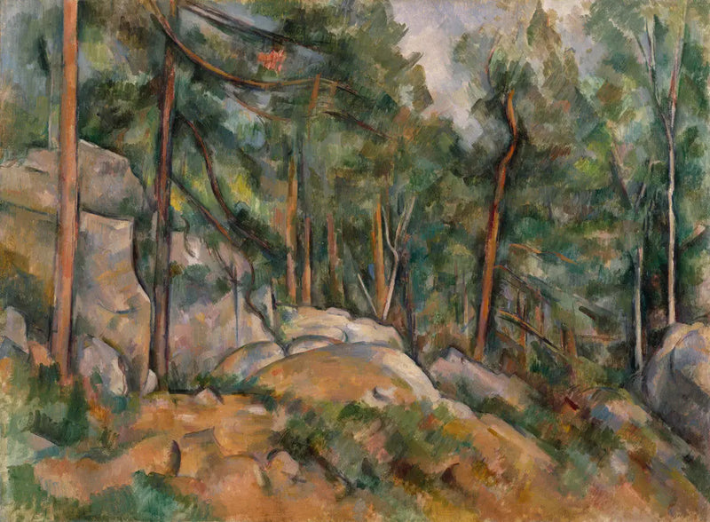 Interno di Foresta - Paul Cézanne