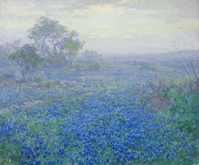 Journée nuageuse lupins bleus près de San Antonio Texas - Julian Onderdonk - Alpha Reproduction