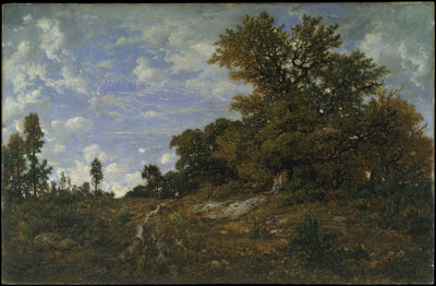 Il margine del bosco di Monts-Girard, foresta di Fontainebleau - Théodore Rousseau