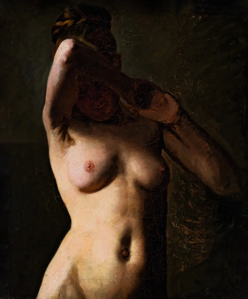 Modello femminile. Demi-figure - Peder Severin Krøyer