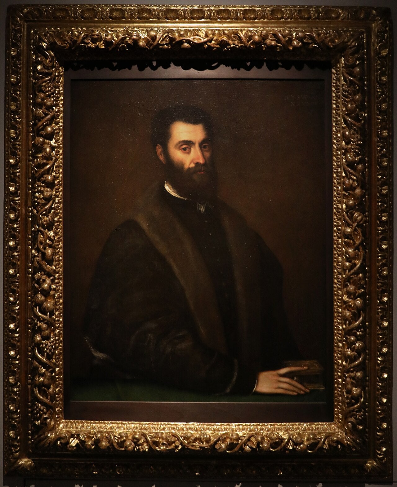 Portrait de Sperone Speroni - Titian