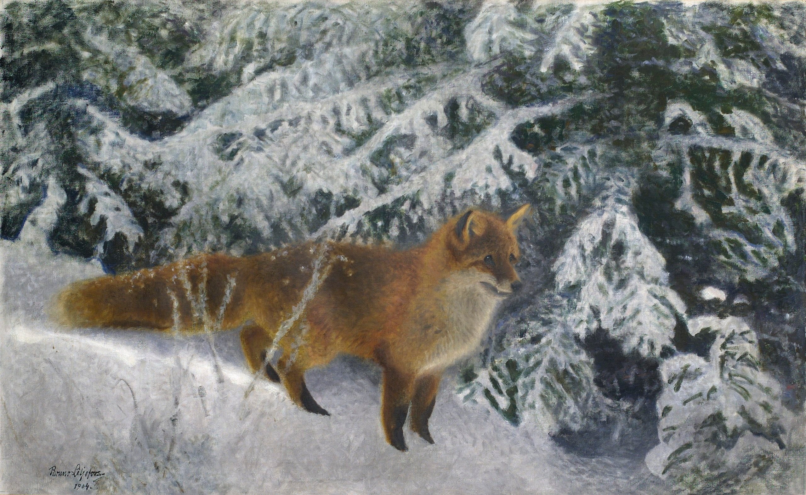 Renard en hiver - Bruno Liljefors