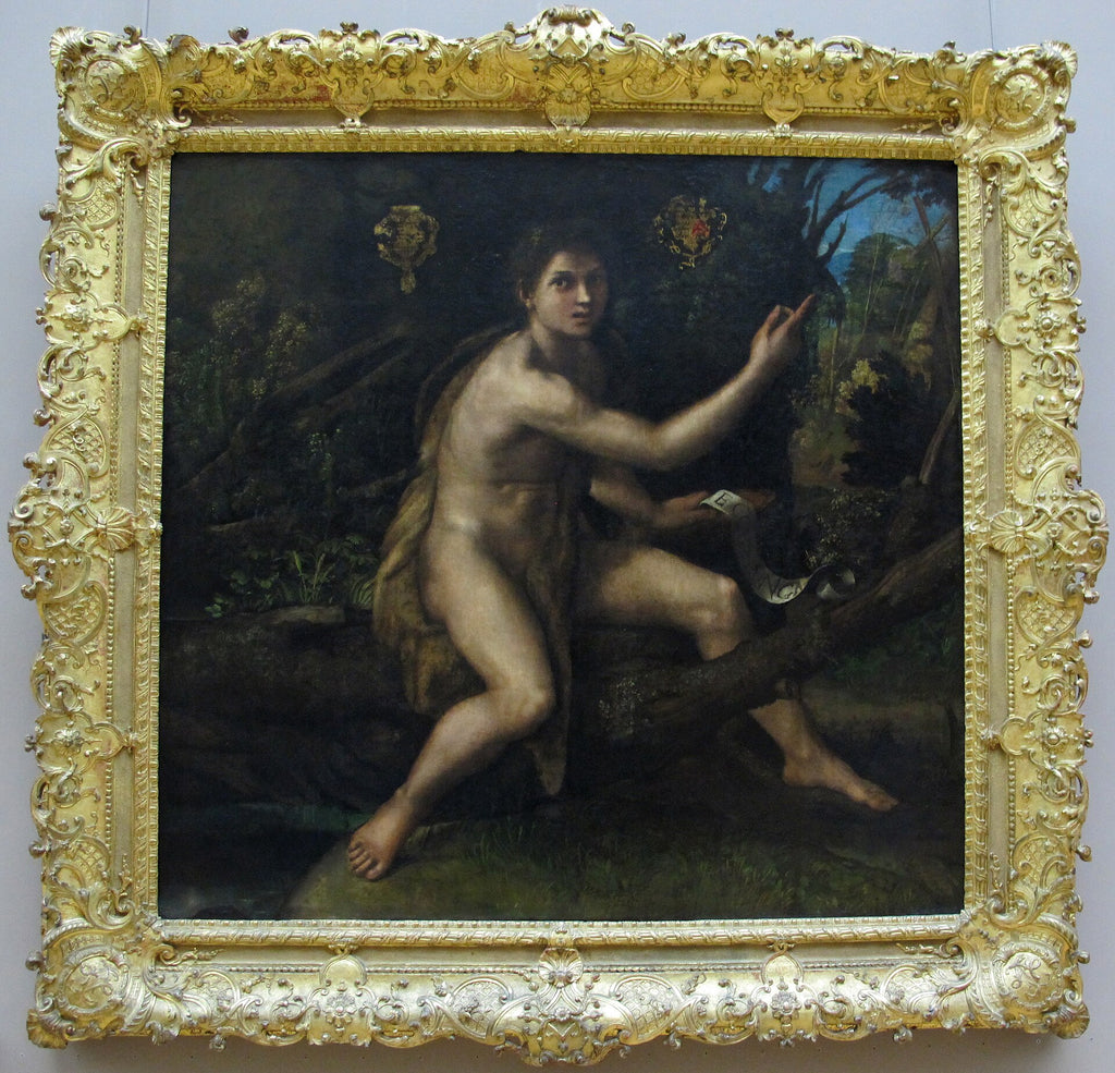 San Giovanni Battista nel deserto che indica la croce della Passione - Raffaello Sanzio