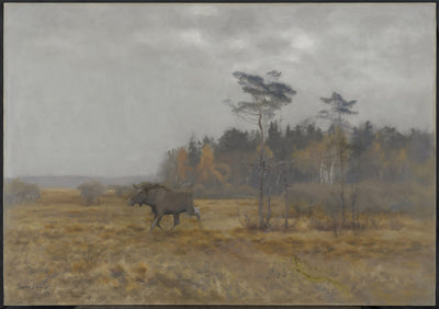 Un alce attraversa una palude in Svezia - Bruno Liljefors