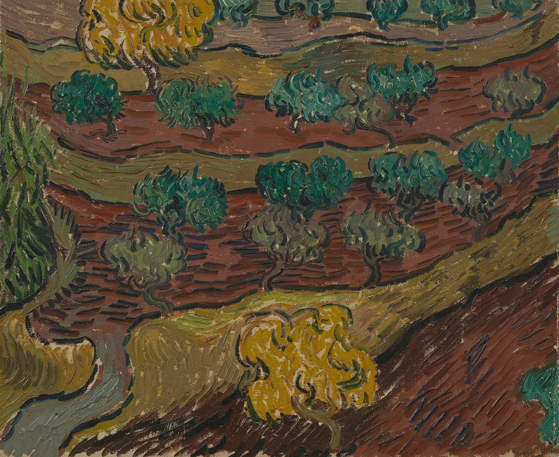 Ulivi su una collina - Vincent van Gogh