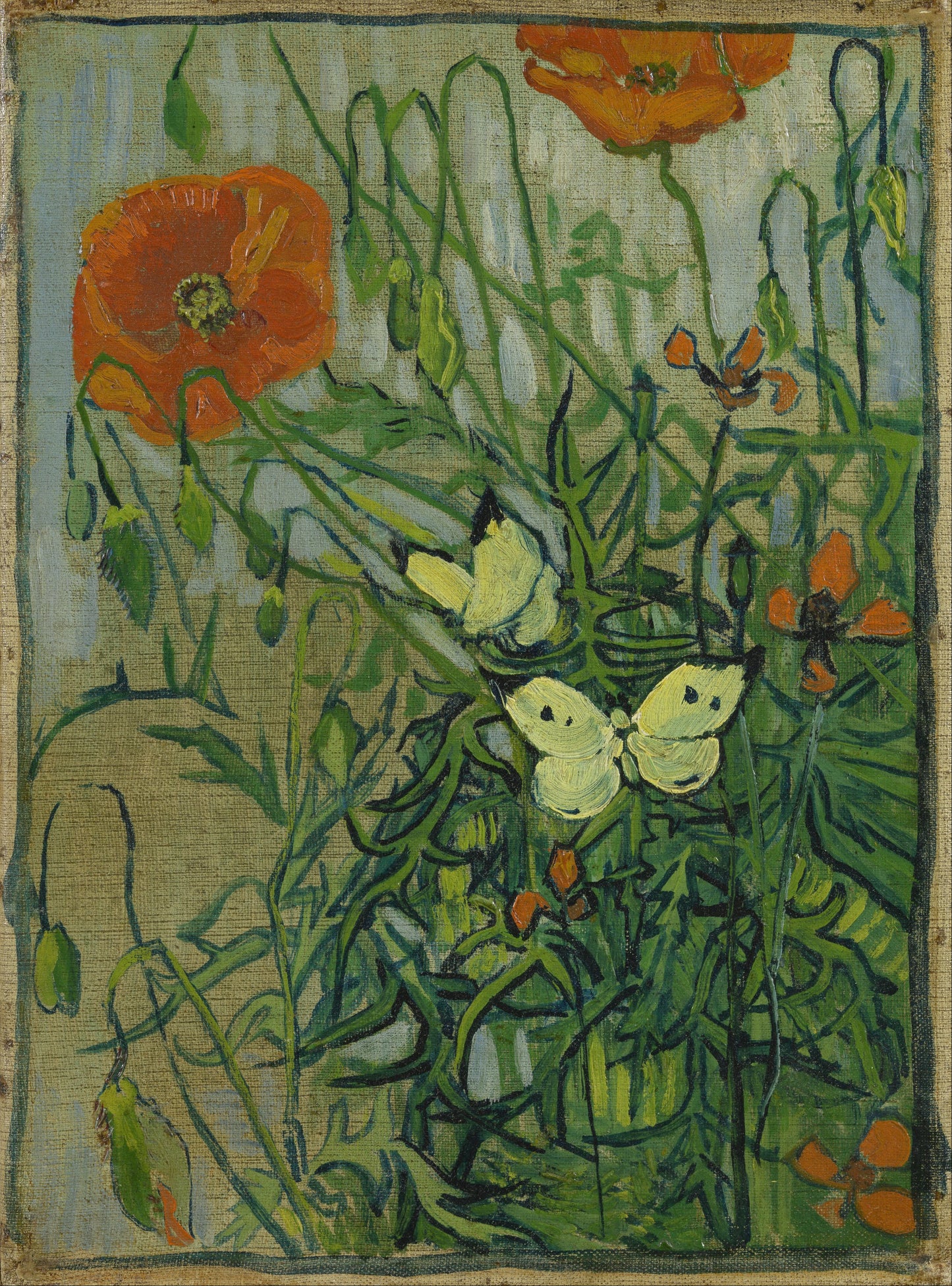 🦋 Farfalle e Papaveri – Vincent van Gogh (1890)