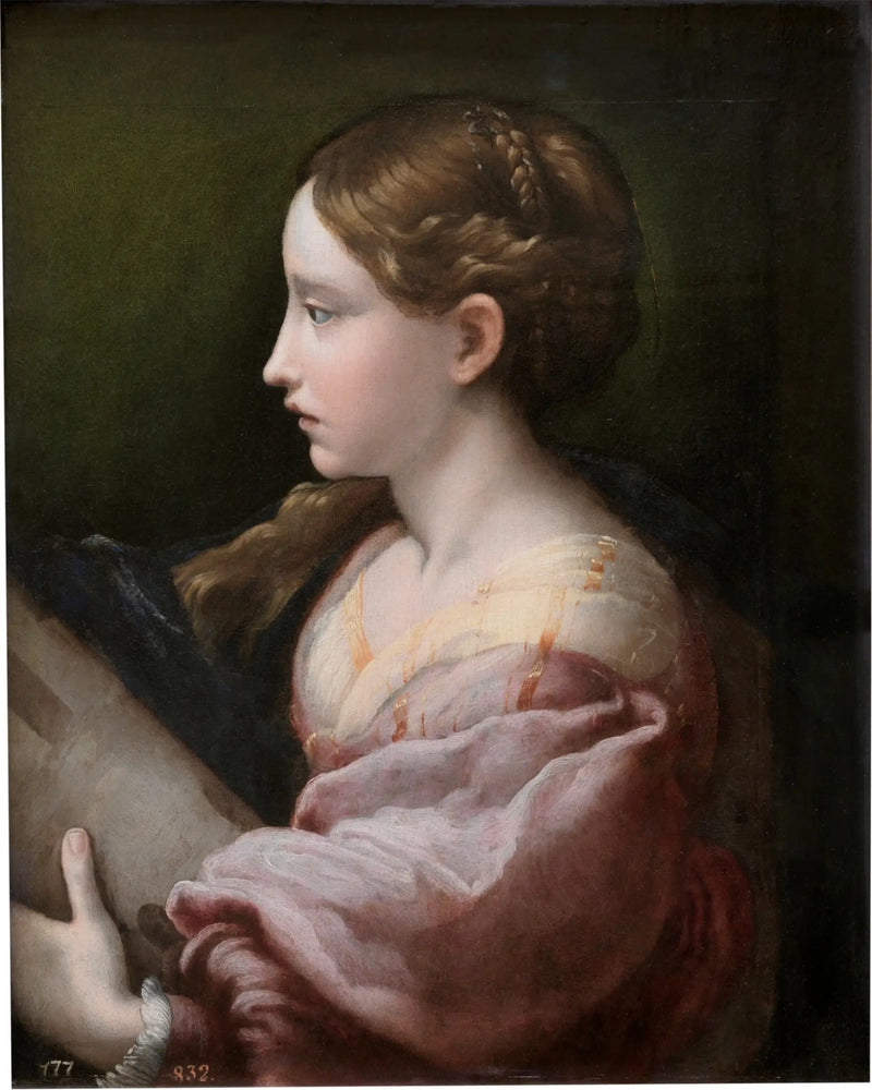 Santa Barbara - Parmigianino