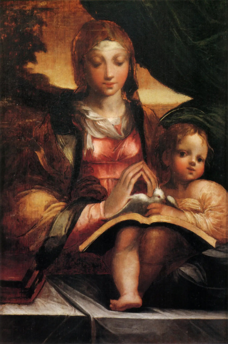 Vergine con Bambino - Parmigianino