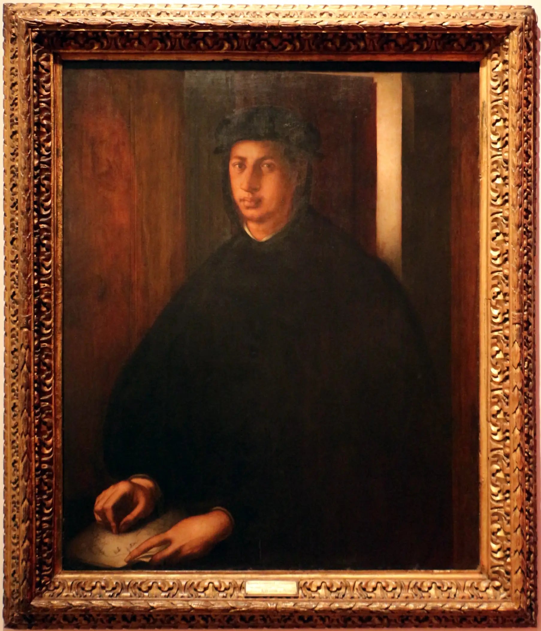 Portrait d’Alexandre de Médicis - Pontormo - Alpha Reproduction