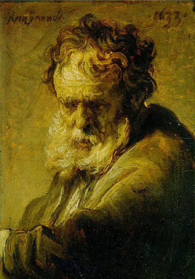 Busto di un vecchio uomo barbuto - Rembrandt