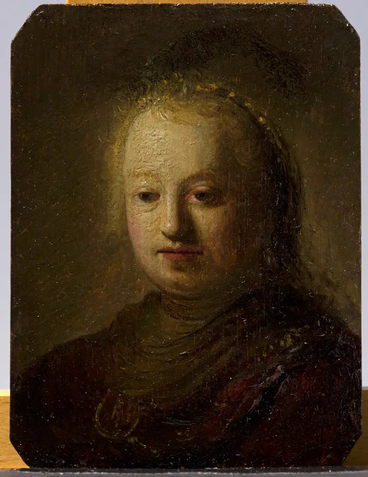 Busto di una ragazza - Rembrandt